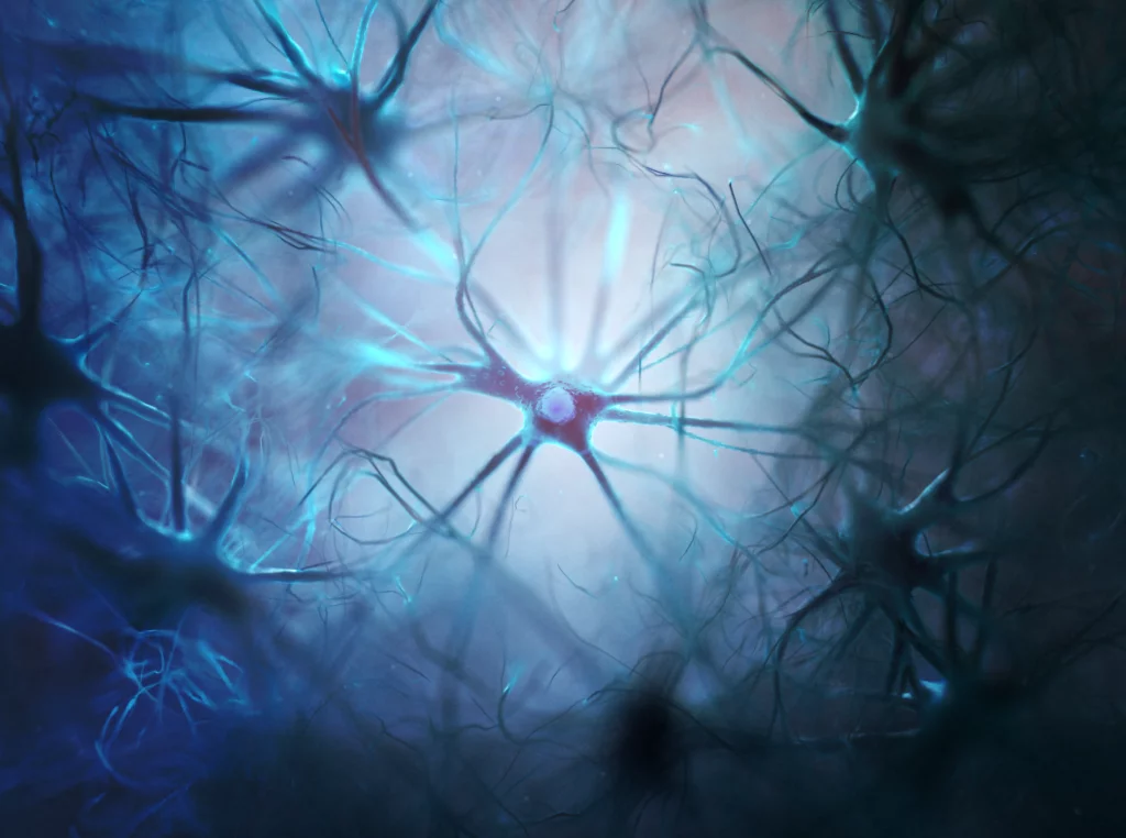 Illustration of astrocyte cell shown surrounded by other nerve cells.