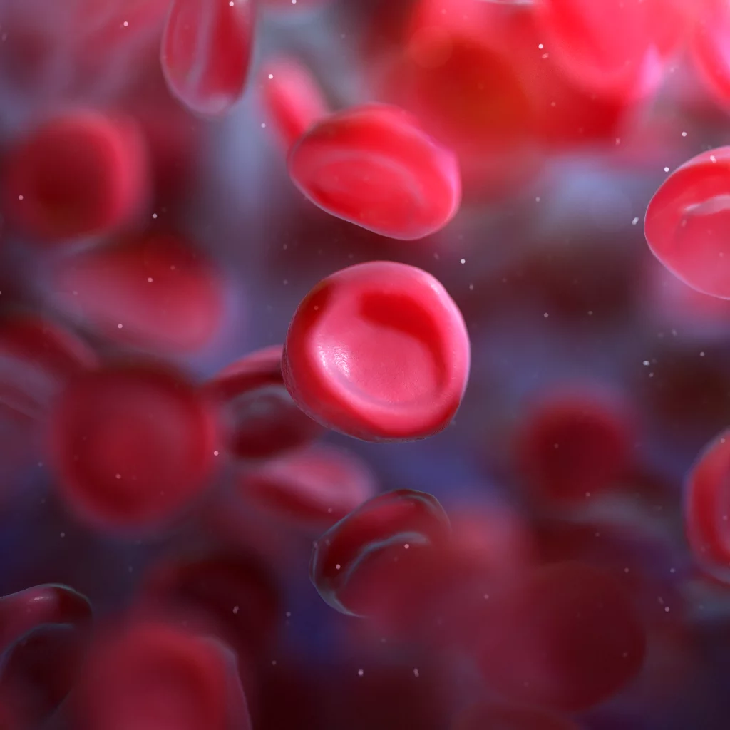 red blood cells